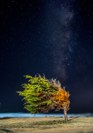 The Best: 12 лучших статей о малом бизнесе на Biz360.ru в январе